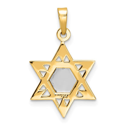 14k Two-tone Gold Polished Solid Star and Torah Pendant for Women