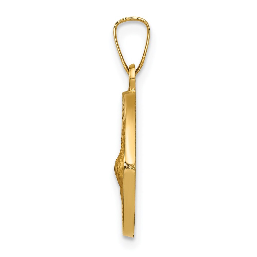 14k Yellow Gold Polished and Satin St Francis of Assisi Medal Hollow Pendant