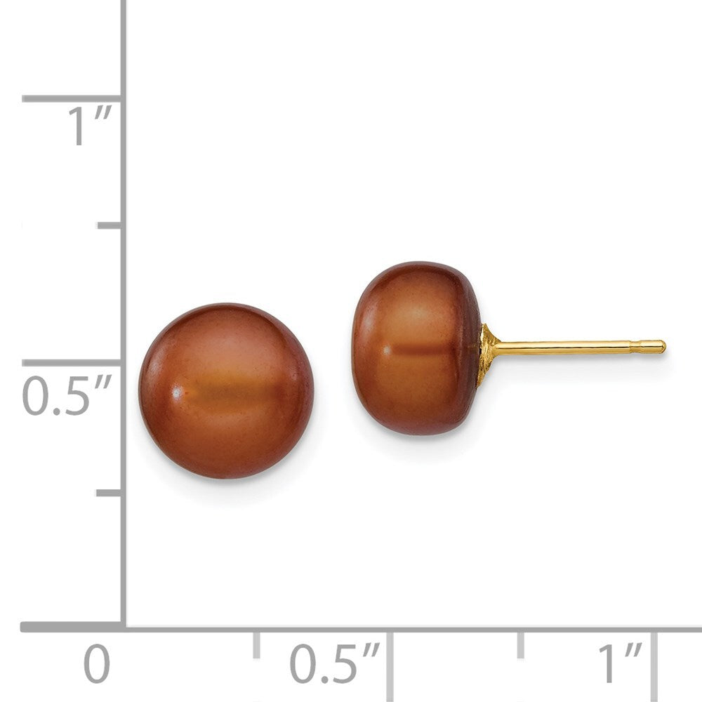14k Yellow Gold 8-9mm Brown Button Freshwater Cultured Pearl Stud Earrings