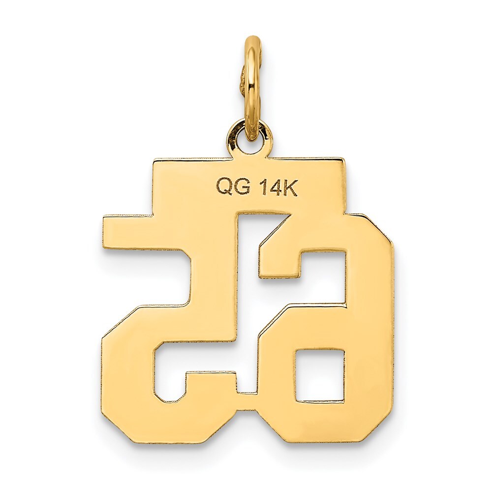 14k Yellow Gold Small Satin Number 65 Charm Pendant for Women