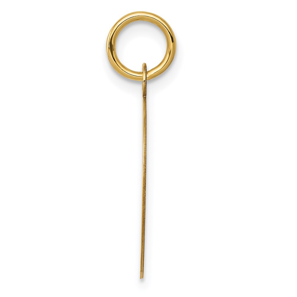 14k Yellow Gold Record Album Charm Pendant for Women