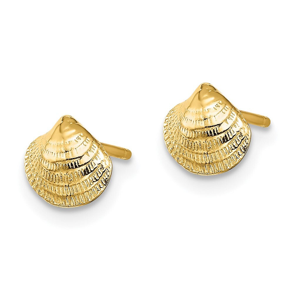 14k Yellow Gold Mini Clam Shell Stud Earrings Gift for Women