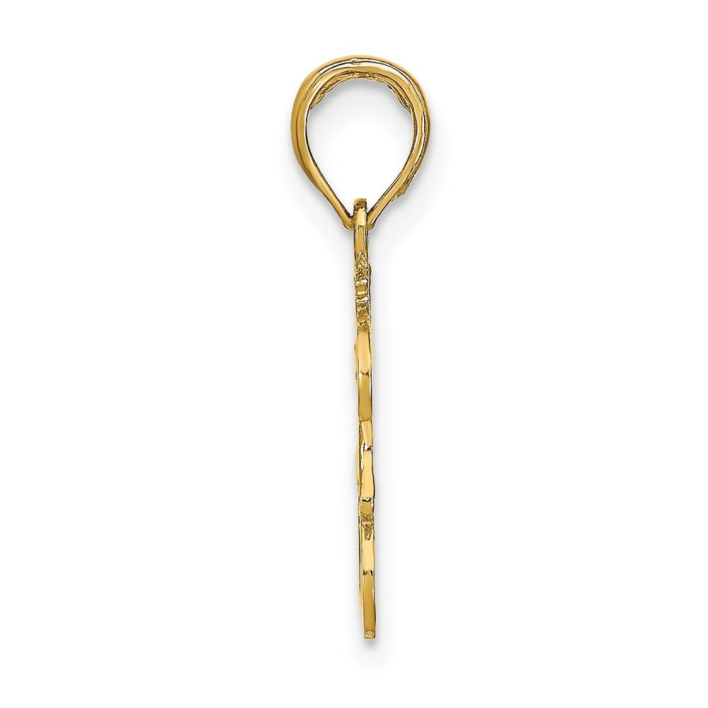 14k Yellow Gold LEO Zodiac Charm