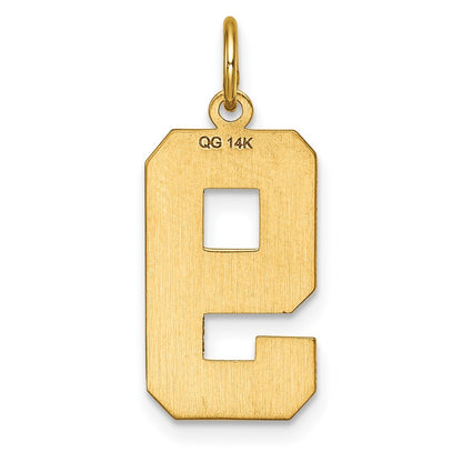 14k Yellow Gold Large Brushed Diamond-cut  Number 9 Charm