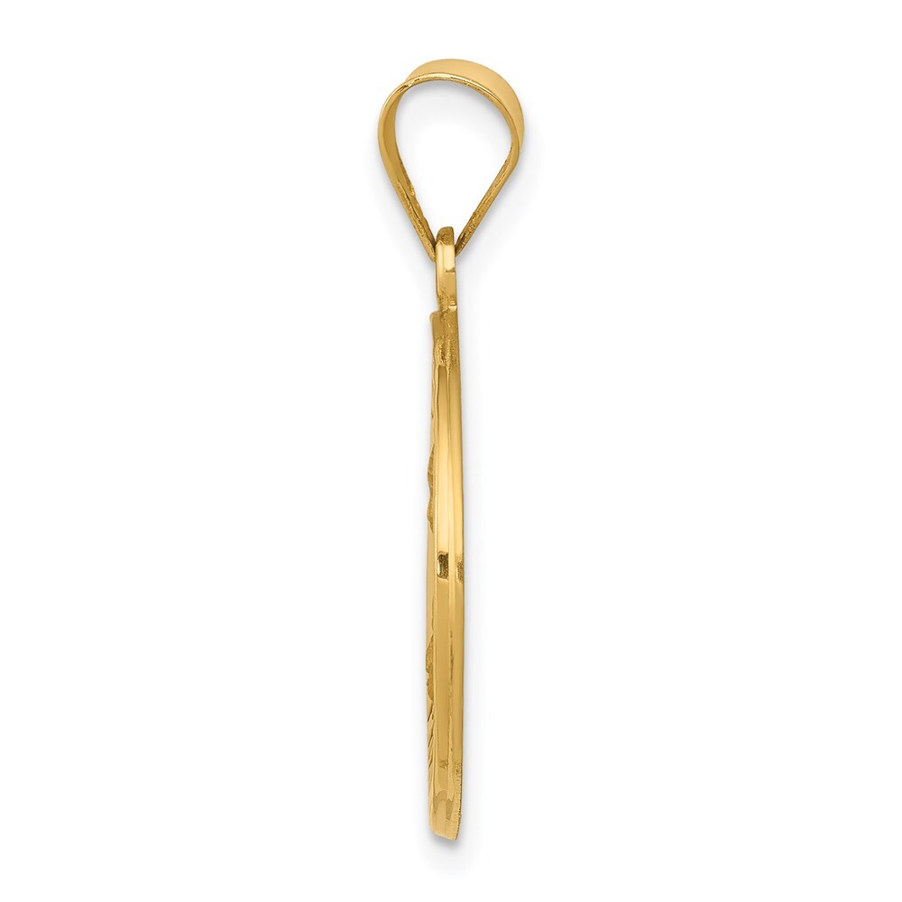 14k Yellow Gold Polished and Satin St Theresa Medal Hollow Pendant for Women