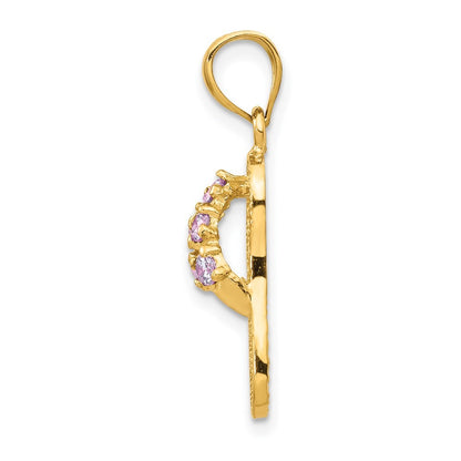 14k Yellow Gold 3D February/Cubic Zirconia Birthstone Flip Flop Pendant