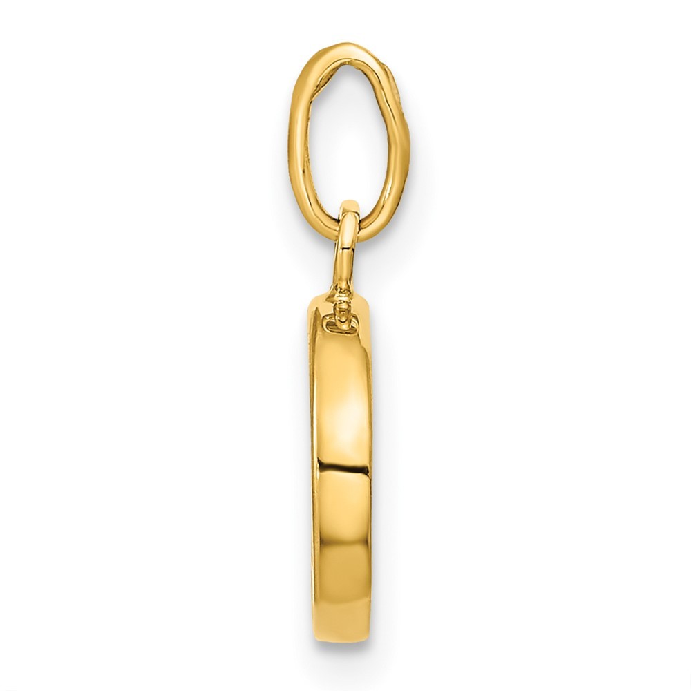 14k Yellow Gold Polished Black/White Enamel Yin and Yang Pendant