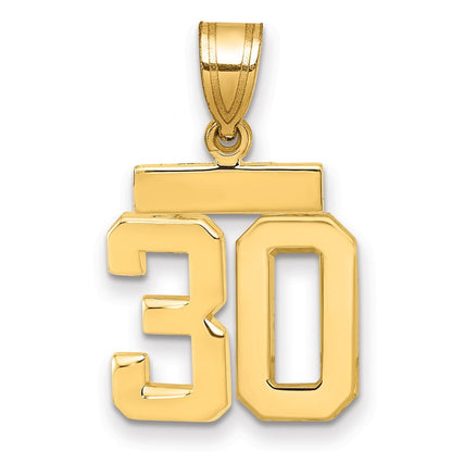 14k Yellow Gold Small Polished Number 30 Charm Pendant for Women