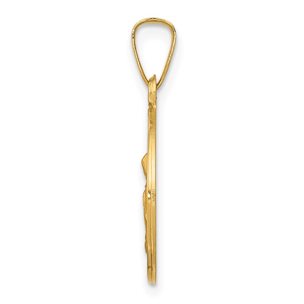 14k Yellow Gold Polished and Satin St. Anne Medal Hollow Pendant for Women