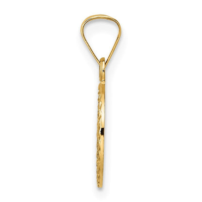 14k Yellow Gold Polished Solid Enameled Star of David in Frame Pendant