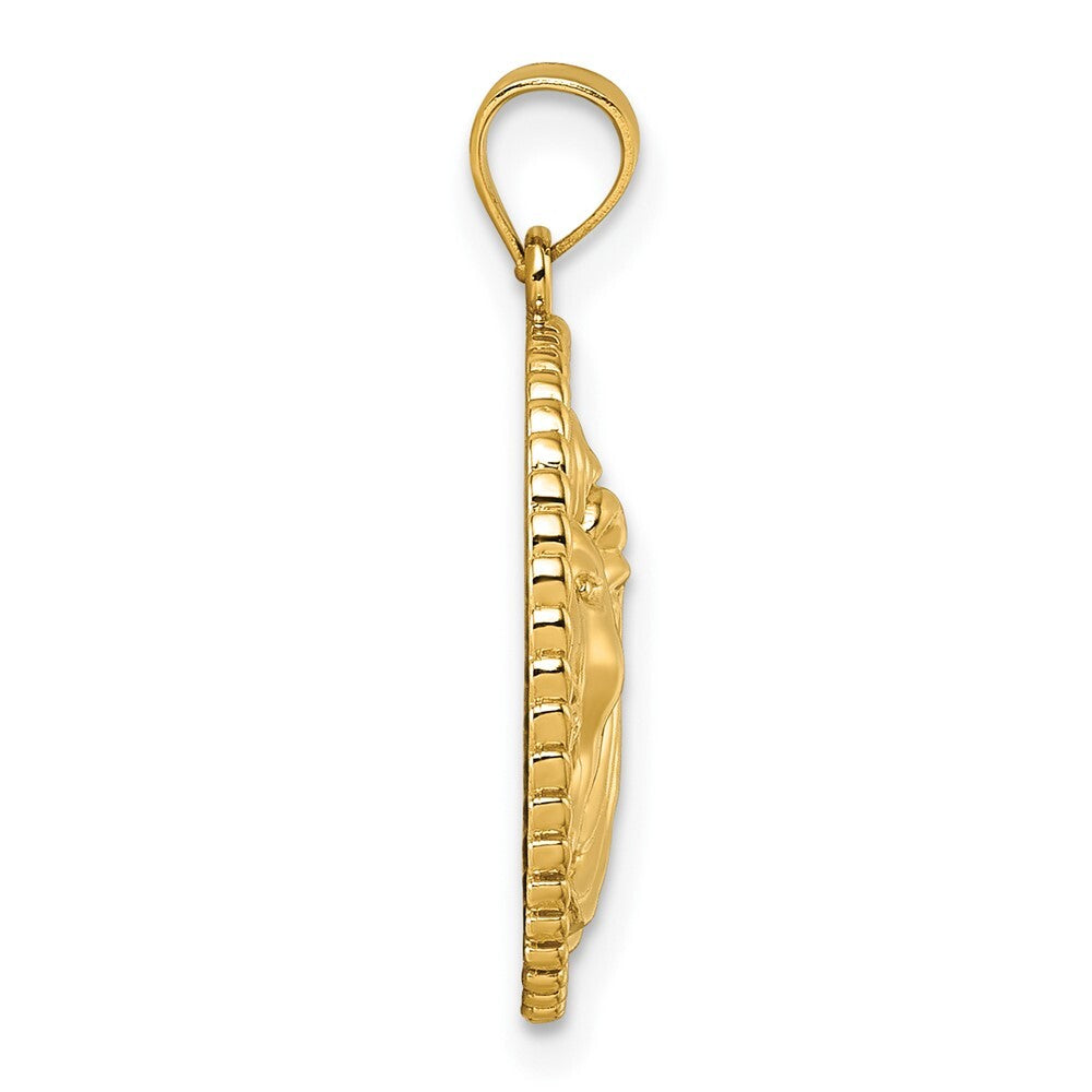 14k Yellow Gold Polished Lion with Mane Circle Pendant