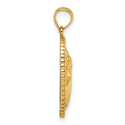14k Yellow Gold Polished Lion with Mane Circle Pendant