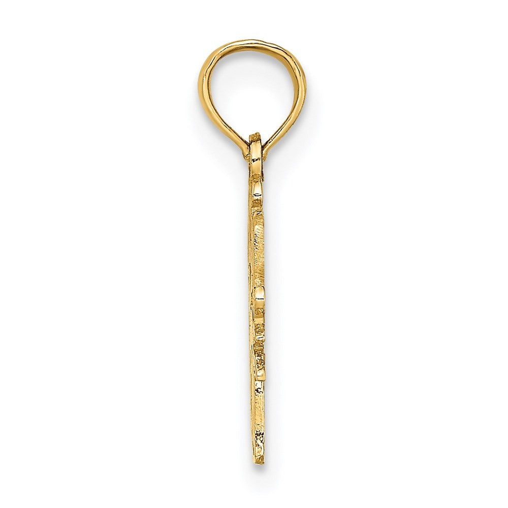 14k Yellow Gold SWIM MOM w/Swimmer Charm