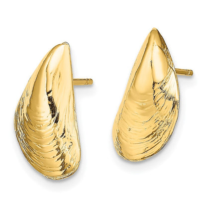 14k Yellow Gold Mussel Shell Stud Earrings Gift for Women