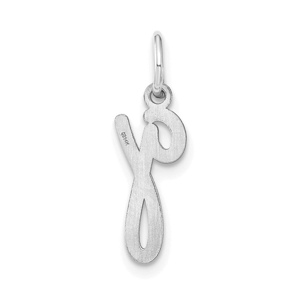 14k White Gold Lower case Letter G Initial Charm Pendant for Women