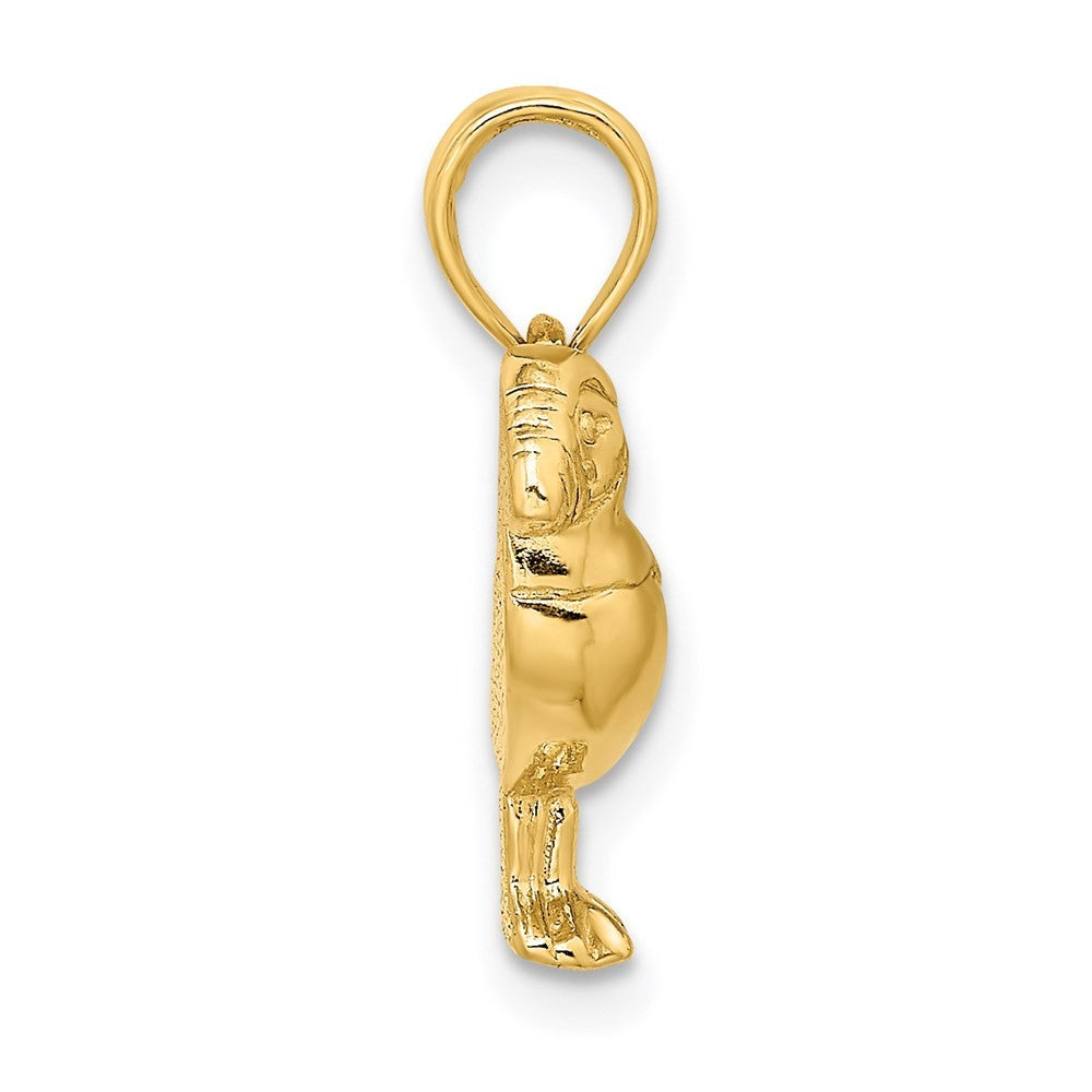 14k Yellow Gold 2-D Polished and Textured Puffin Bird Charm