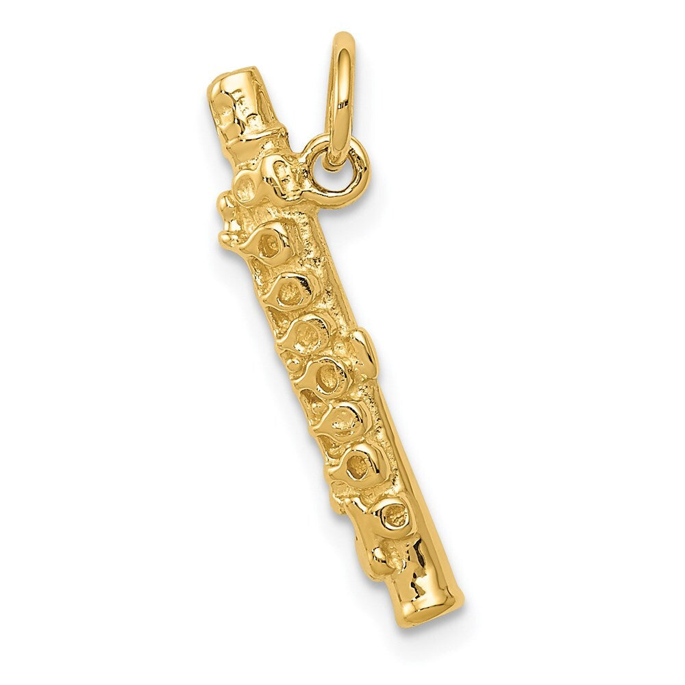 14k Yellow Gold 3-D Polished Flute Charm Pendant for Women