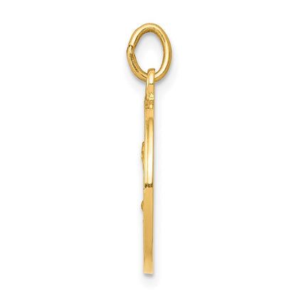 14k Yellow Gold Saint Matthew Medal Charm Pendant for Women