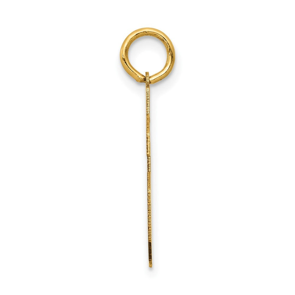 14k Yellow Gold Medium Satin Number 46 Charm Pendant