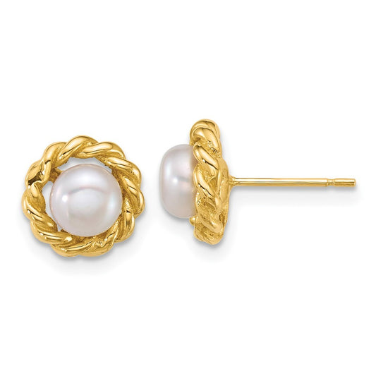 14k Yellow Gold Polished 5-6mm Freshwater Cultured Pearl Twisted Edge Earrings