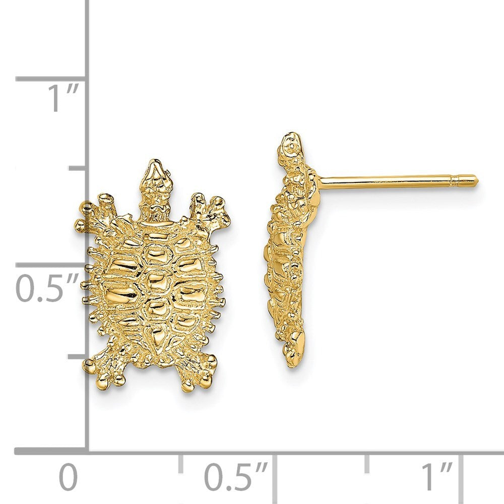 14k Yellow Gold Land Turtle Stud Earrings Gift for Women