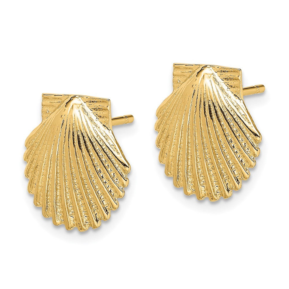 14k Yellow Gold 2-D Polished Scallop Shell Earrings
