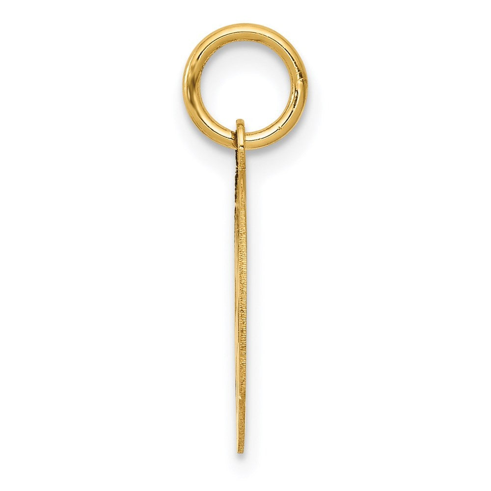14k Yellow Gold Small PARAMEDIC Medical Charm Pendant