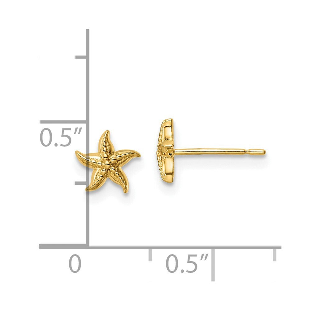 14k Yellow Gold Starfish Stud Earrings Gift for Women