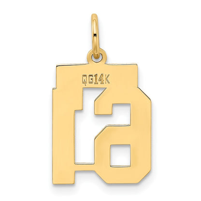 14k Yellow Gold Small Polished Number 61 Charm Pendant for Women