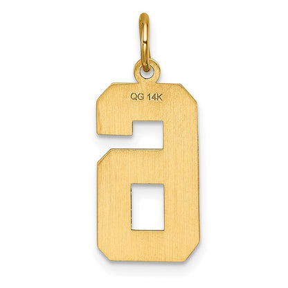 14k Yellow Gold Large Brushed Diamond-cut  Number 6 Charm
