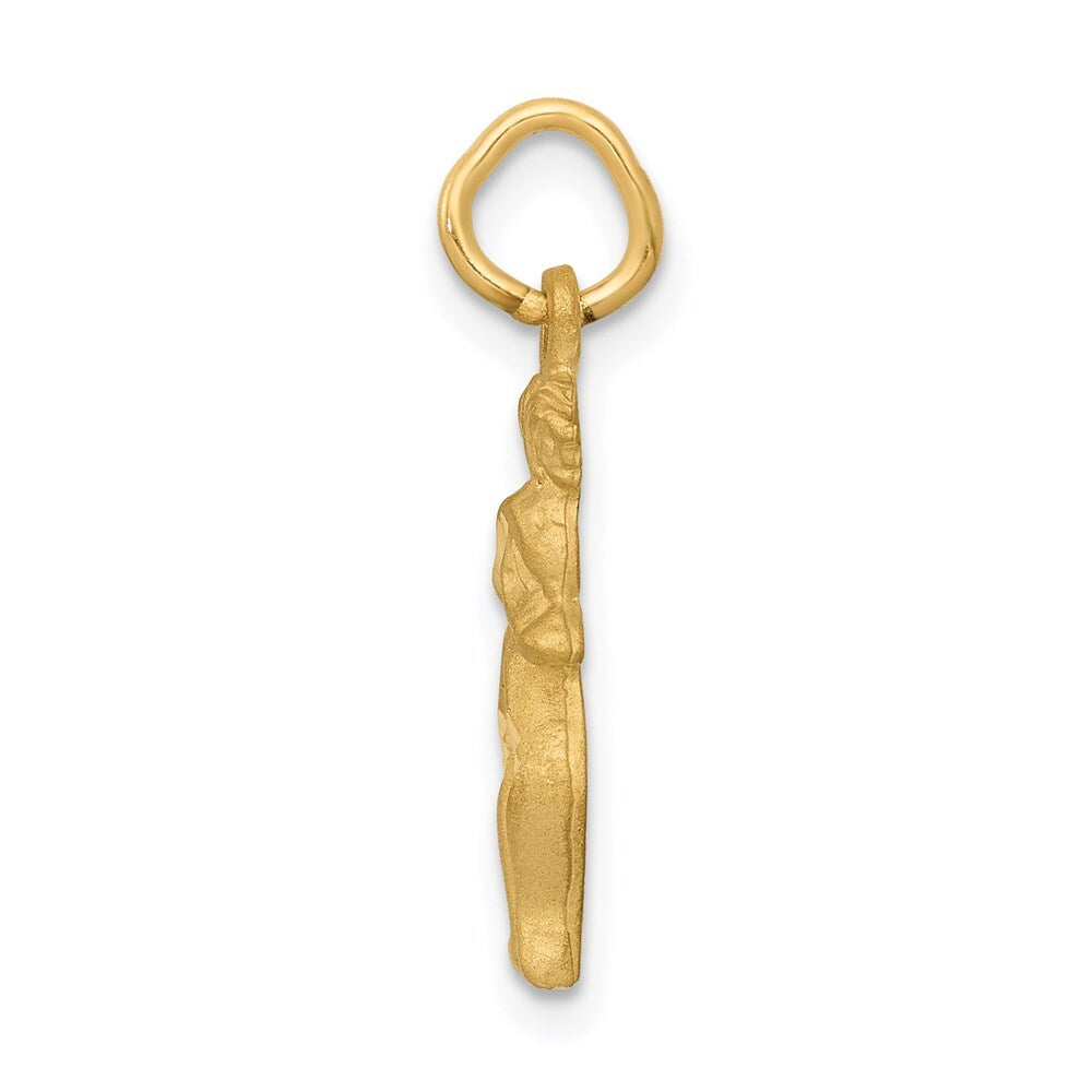 14k Yellow Gold Satin Diamond-cut Gemini Zodiac Charm Pendant for Women