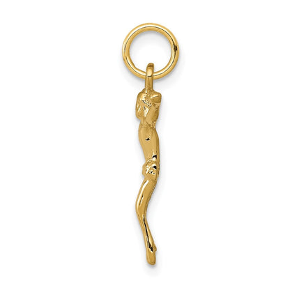 14k Yellow Gold Corpus Charm Pendant