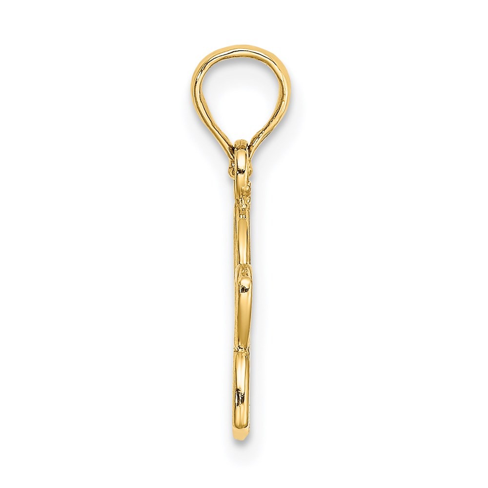 14k Yellow Gold Cut-out Plumeria Flower Charm