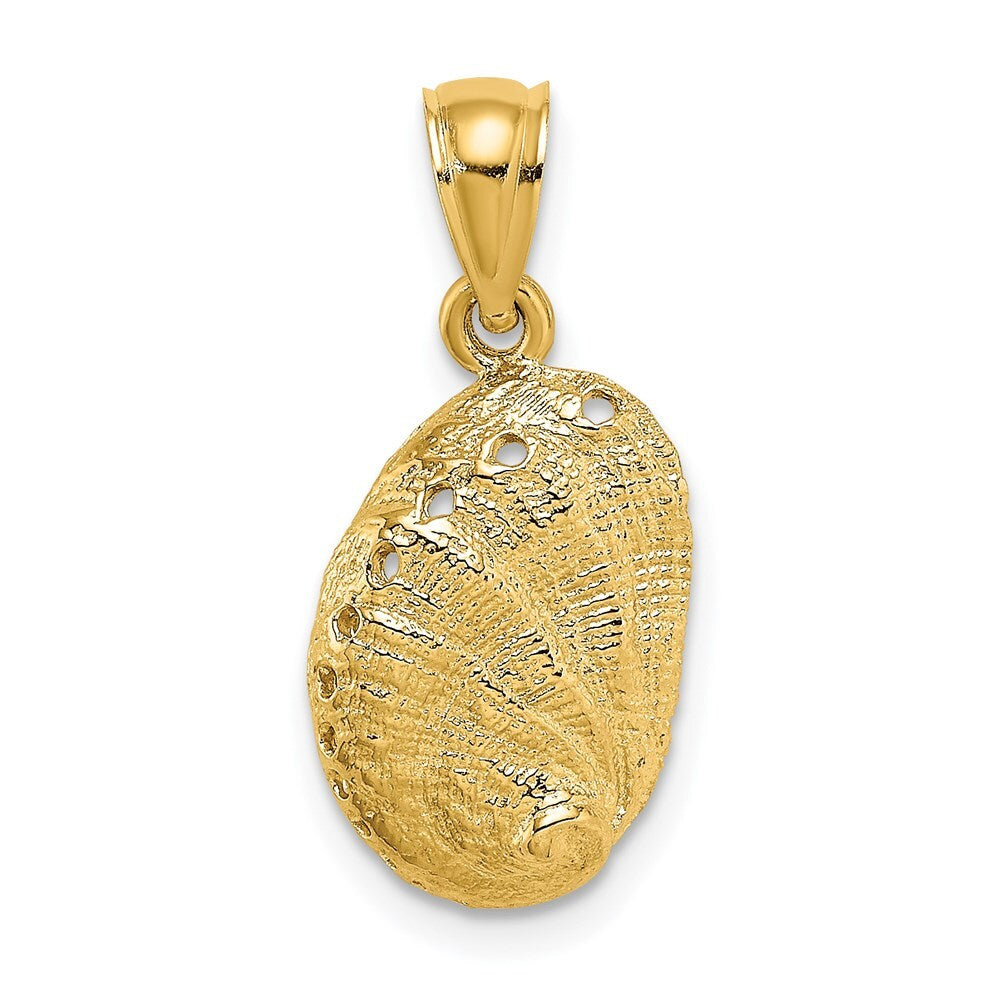 14k Yellow Gold Abalone Shell Charm Pendant for Women