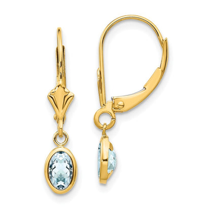 14k Yellow Gold 6x4mm Aquamarine/March Earrings