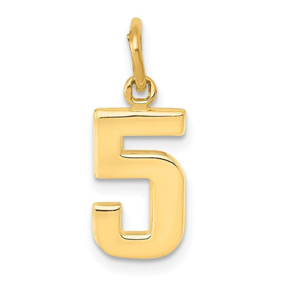 14k Yellow Gold Small Polished Number 5 Charm