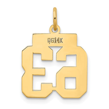 14k Yellow Gold Small Polished Number 63 Charm Pendant for Women