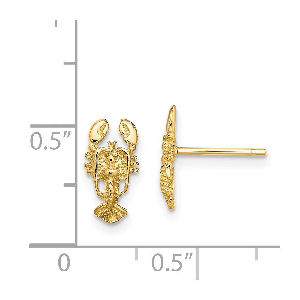 14k Yellow Gold 2-D Lobster Stud Earrings Gift for Women
