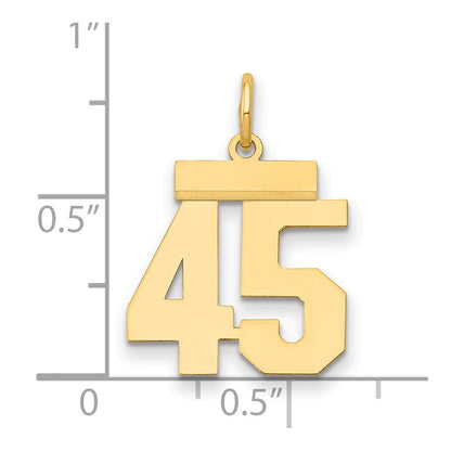 14k Yellow Gold Small Polished Number 45 Charm Pendant for Women