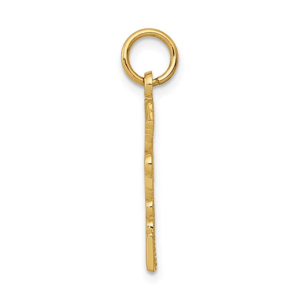 14k Yellow Gold Registered Nurse Practitioner Charm Pendant for Women