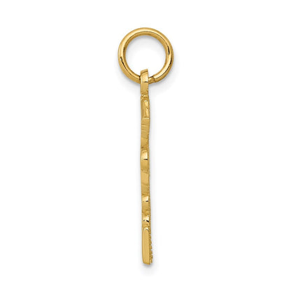 14k Yellow Gold Registered Nurse Practitioner Charm Pendant for Women