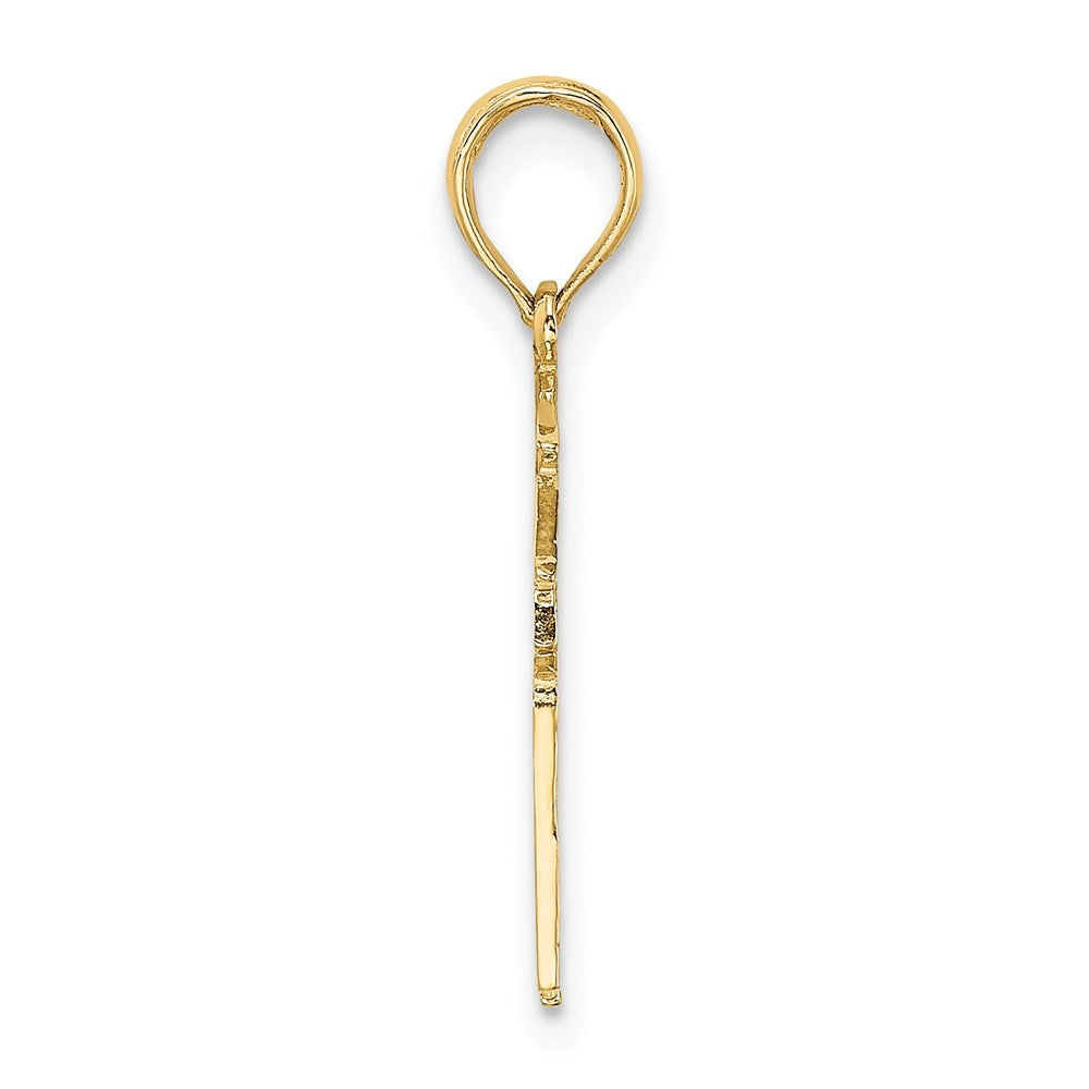 14k Yellow Gold Registered Nurse Charm