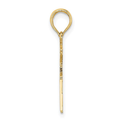 14k Yellow Gold Registered Nurse Charm