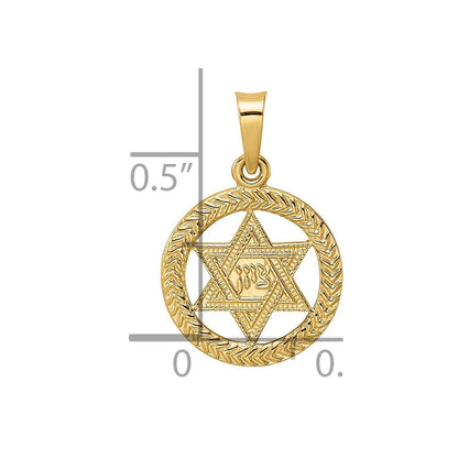 14k Yellow Gold Polished and Textured Solid Star of David in Frame Pendant