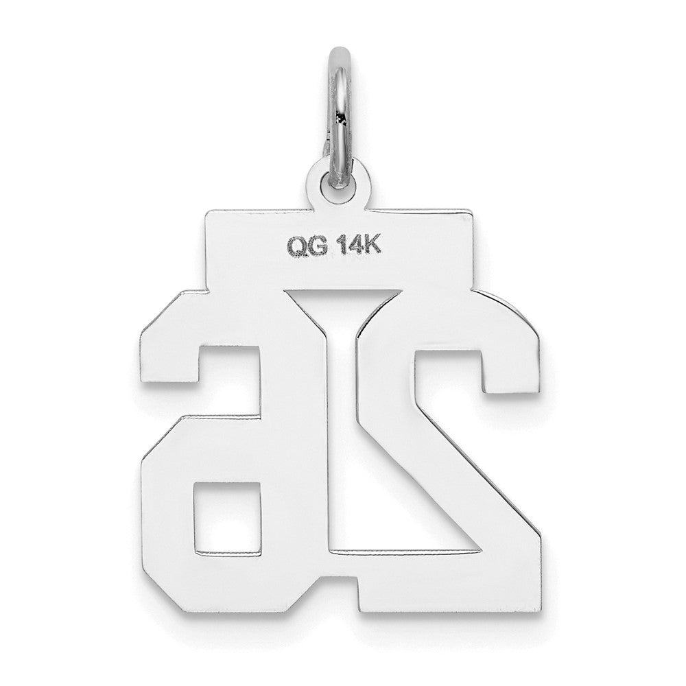14k White Gold Small Satin Number 26 Charm Pendant