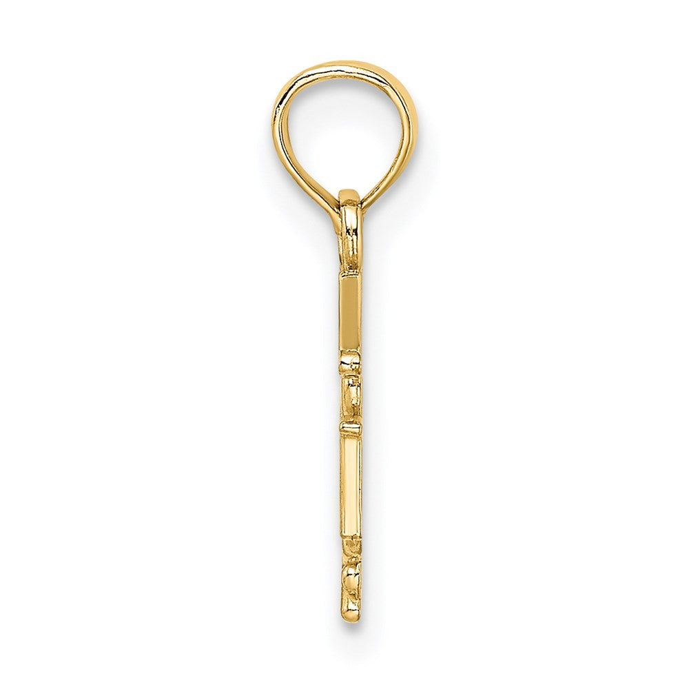 14k Yellow Gold RN Caduceus Charm