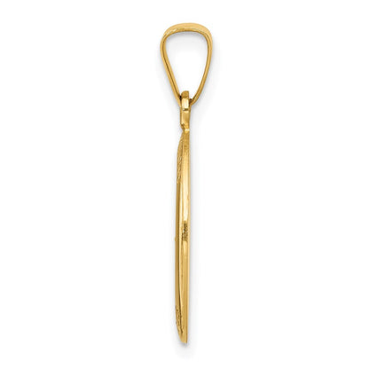 14k Yellow Gold Polished and Satin St. Anthony Medal Hollow Pendant for Women