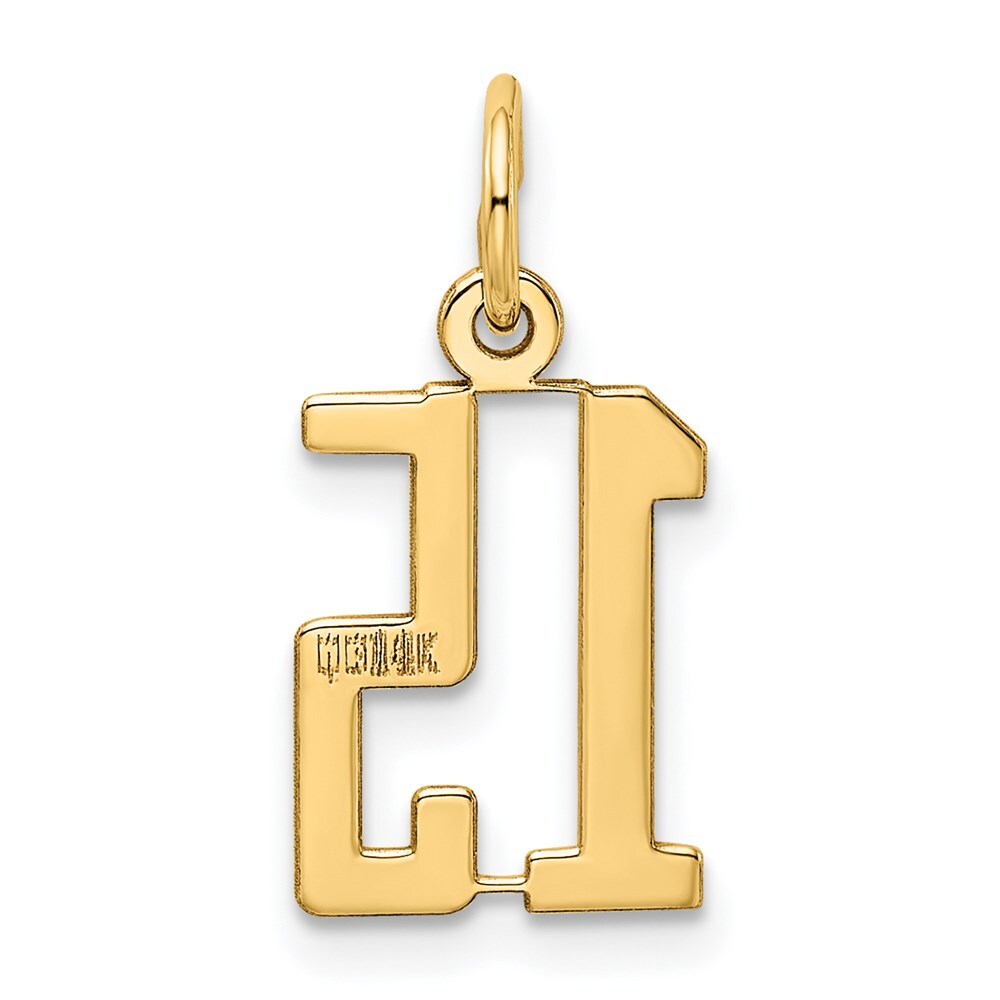 14k Yellow Gold Small Elongated Number 15 Charm Pendant for Women