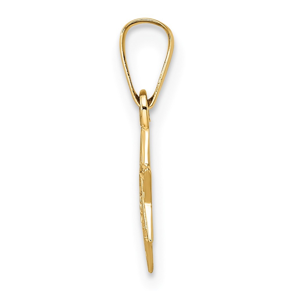 14k Yellow Gold Polished & Textured Solid Star of David Pendant