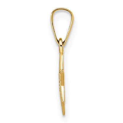 14k Yellow Gold Polished & Textured Solid Star of David Pendant
